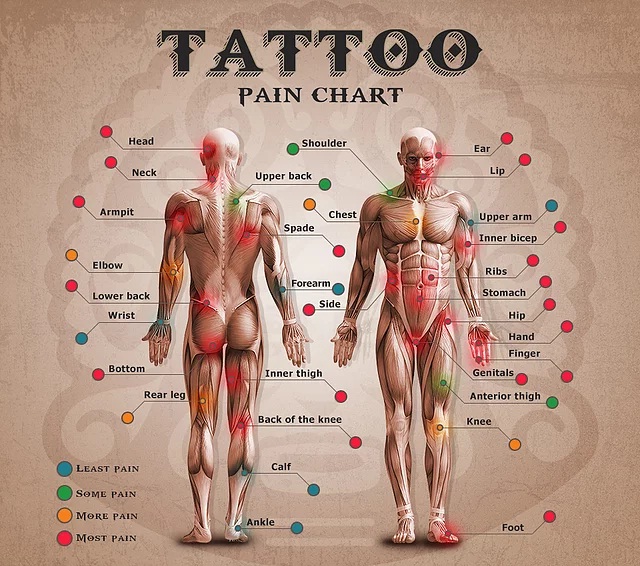 Tattoo placement chart